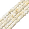 Natural Freshwater Shell Beads Strand BSHE-E026-16A-2