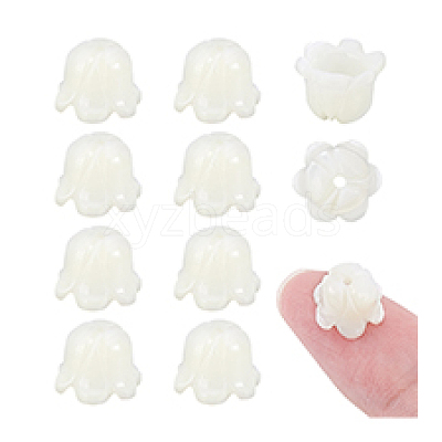 10Pcs Natural Sea Shell Carved Beads SHEL-PH0001-64-1