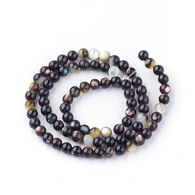 Natural Black Lip Shell Bead Strands SSHEL-Q298-02-1