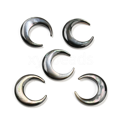 Natural Black Lip Shell Cabochons SSHEL-P015-80B-20MM-01-1