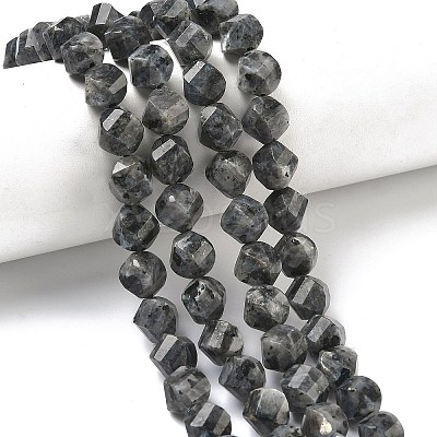 Natural Larvikite Beads Strands G-C267-B24-1