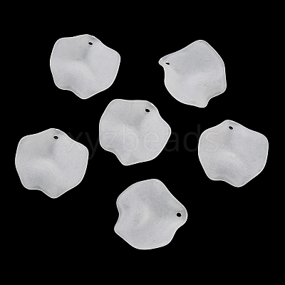 Frosted Acrylic Pendants SACR-F016-02C-1