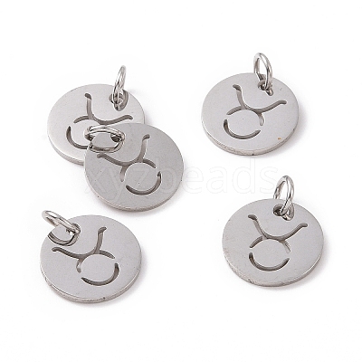 Non-Tarnish 304 Stainless Steel Charms STAS-Q201-T445-2S-1
