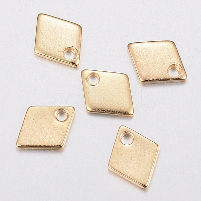 304 Stainless Steel Charms STAS-G179-82G-1