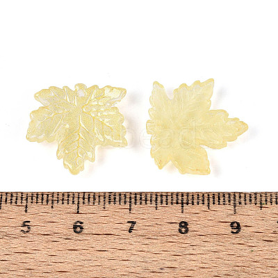 Baking Paint Transparent Glass Pendants DGLA-N014-11A-06-1