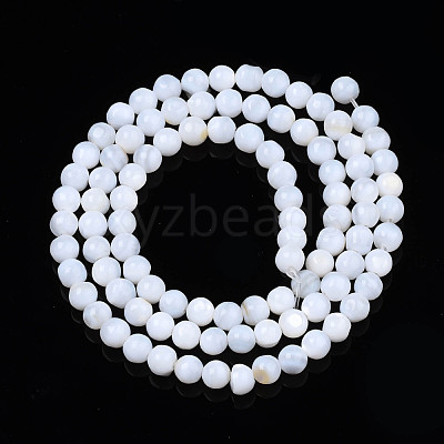 Natural Freshwater Shell Beads Strands SHEL-N003-24-A01-1