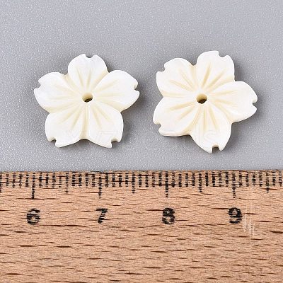 Natural Freshwater Shell Carved Beads SHEL-Q028-10-1