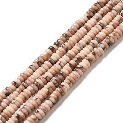 Natural Fossil Beads Strands G-I339-06-1