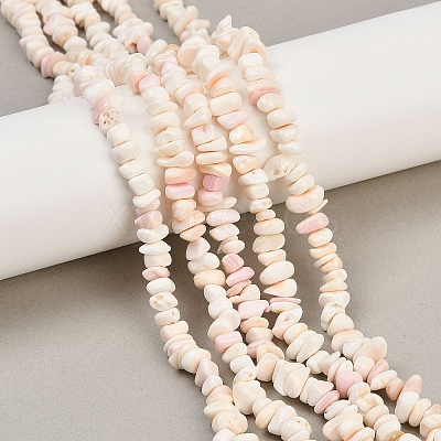 Natural Pink Shell Beads Strands SSHEL-L016-19-1