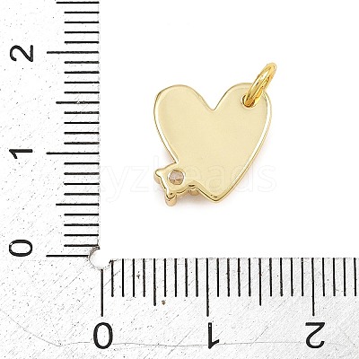 Brass Micro Pave Clear Cubic Zirconia Charms KK-CBA1731-04G-A-1