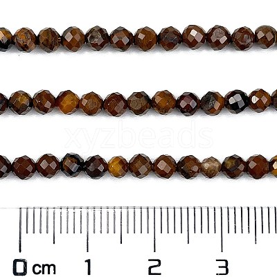 Natural Tiger Eye Beads Strands G-M399-03C-1