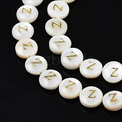 Natural Freshwater Shell Beads SHEL-S276-168-1