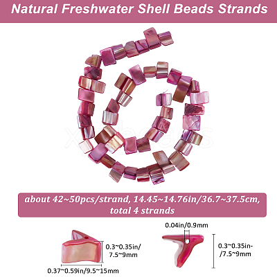 4 Strands Dyed Natural Freshwater Shell Beads Strands SHEL-BBC0001-14C-1