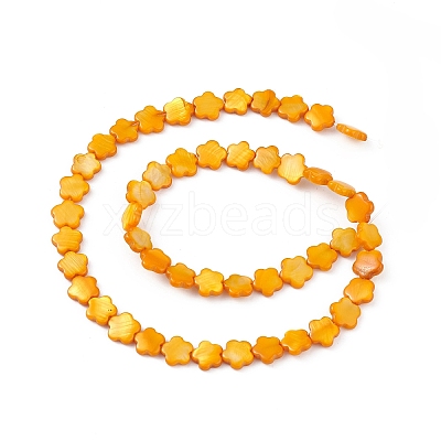 Natural Freshwater Shell Dyed Beads Strands SHEL-K001-001H-1