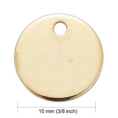 304 Stainless Steel Charms STAS-F174-06G-1