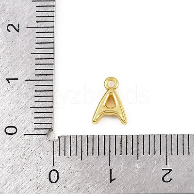 Stainless Steel Charms KK-I352-02G-1-1