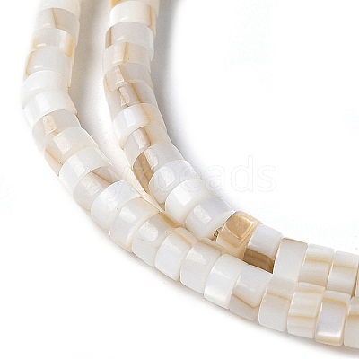 Natural Freshwater Shell Beads Strands SSHEL-C013-04A-1