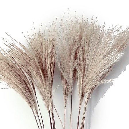 Mini Dried Grass Bouquet for Wedding Party Home Table Decoration HULI-PW0002-114E-1