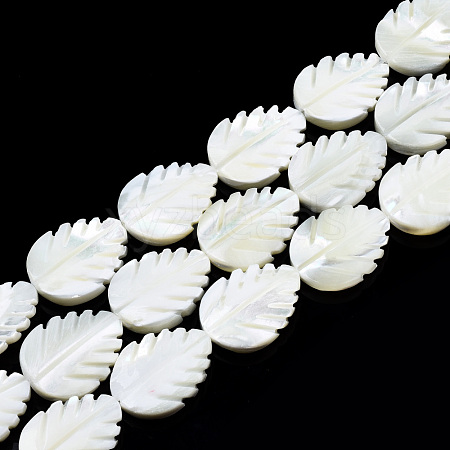 Natural Trochid Shell/Trochus Shell Beads Strands SSHEL-N034-136A-01-1