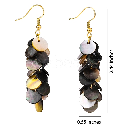 Natural Black Lip Shell Dangle Earrings X1-EJEW-JE04370-1