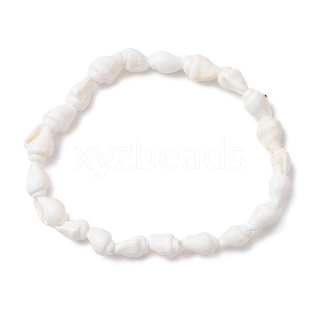 Natural Trumpet Shell Beads Stretch Bracelets BJEW-JB110104-1