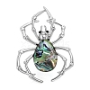 Creative Abalone Shell Spider Brooch PW-WGB0402-01-1