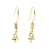 Rack Plating Brass Earring Hooks KK-F839-024A-G-1