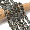 Natural Labradorite Beads Strands G-I225-15A-1