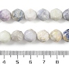 Natural Sodalite Beads Strands G-NH0021-A25-02-5