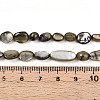 Natural White Shell Beads Strands SHEL-N036-21-5