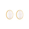 Natural Shell Oval Stud Earrings WV6287-1