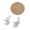 Natural Pearl Ear Studs EJEW-P286-25P-3