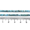 Natural Apatite Beads Strands G-J400-C01-01-5