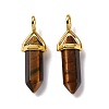 Natural Tiger Eye Pointed Pendants G-K329-43G-2