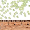 8/0 Glass Seed Beads SEED-Z001-C-E12-4