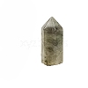 Pointed Tower Natural Labradorite Healing Stone Wands PW-WG87518-16-1