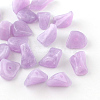 Chip Imitation Gemstone Acrylic Beads X-OACR-R021-17-1