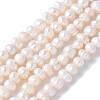 Natural Cultured Freshwater Pearl Beads Strands PEAR-I007-07L-03-2