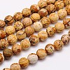 Natural Picture Jasper Beads Strands G-G542-6mm-08-1