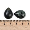 Natural Kambaba Jasper Cabochons G-H094-01A-29-3