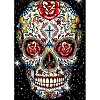 Halloween Skull Elements DIY Diamond Painting Kits PW-WGAF790-09-1