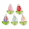 Glass Pendants PALLOY-JF02579-02-1