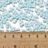 Macaron Color Opaque Frosted Glass Seed Beads SEED-K009-12B-11-4