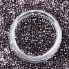 Glass Seed Beads SEED-S042-07A-01-2