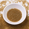 MIYUKI Delica Beads SEED-X0054-DB0119-2