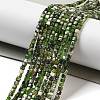 Natural Diopside Beads Strands G-G161-C23-01-2