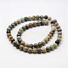 Natural Polychrome Jasper/Picasso Stone/Picasso Jasper Bead Strands G-G667-01-6mm-2