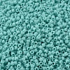 MIYUKI Delica Beads SEED-X0054-DB1136-3