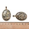 Electroplate Natural Dalmatian Jasper Pendants KK-F882-06G-04-3