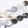 Black Lip Shell Beads Strands X-BSHE-T002-02-1